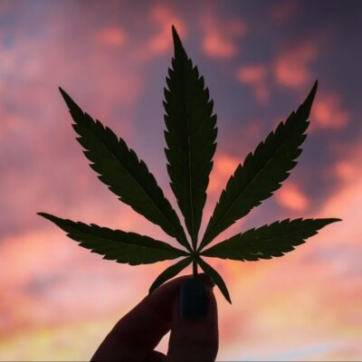 benefits-legalizing-weed