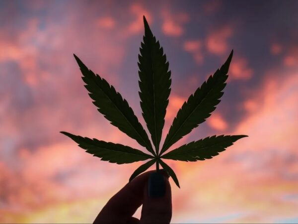 benefits-legalizing-weed